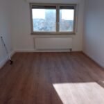 Bezugsfertig modernisierter Wohnraum mit weißen Massivholz-Leisten – Erfahrener Innenausbau Mannheim
